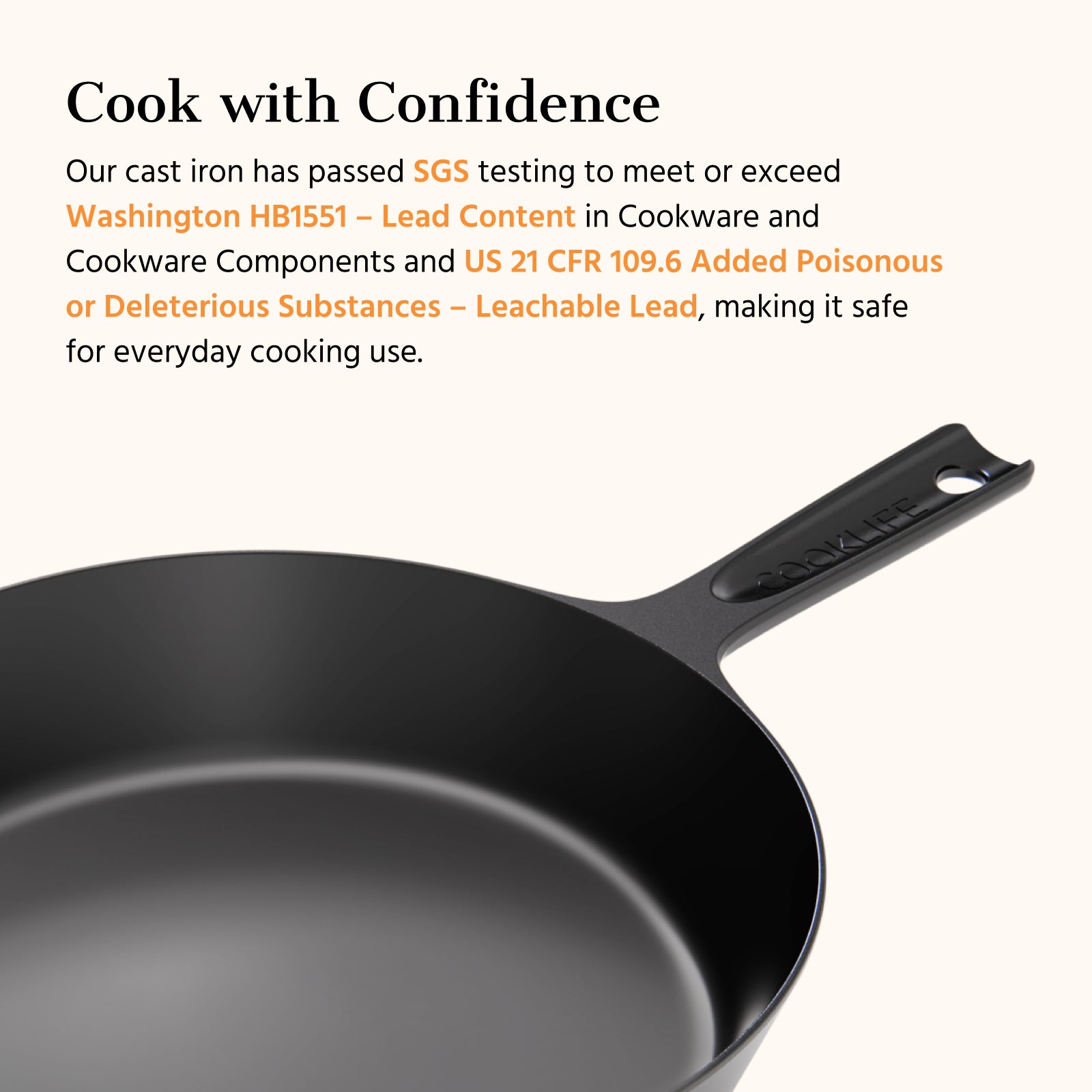 10 Inch Cast Iron Skillet