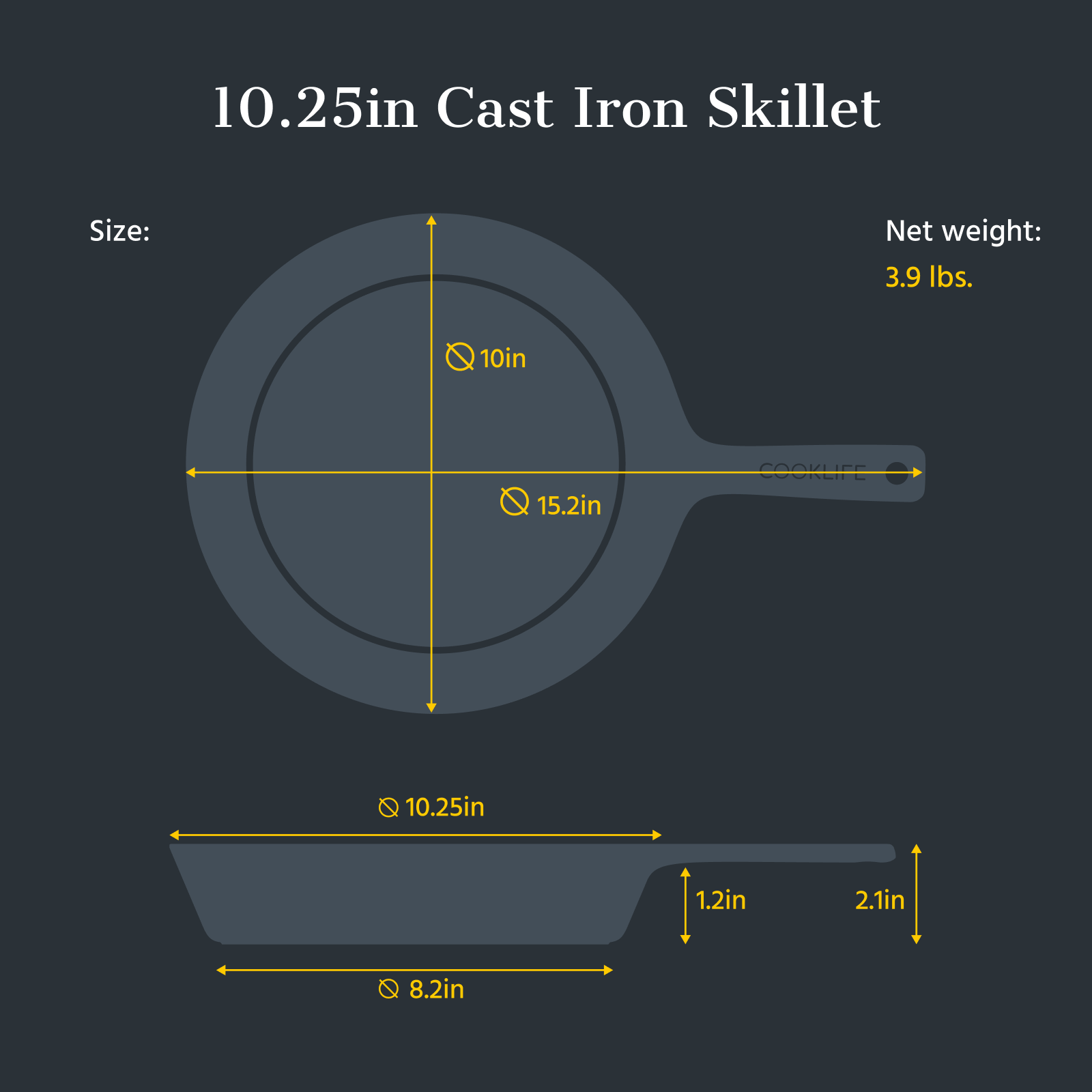 10 Inch Cast Iron Skillet