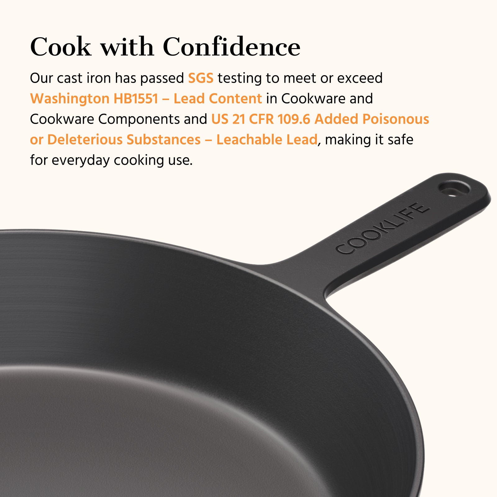 12 Inch Cast Iron Skillet